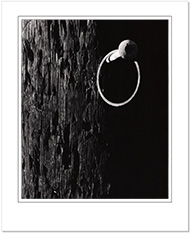 Pole Spike and Ring